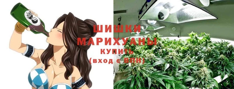 Бошки марихуана марихуана  дарнет шоп  Собинка 